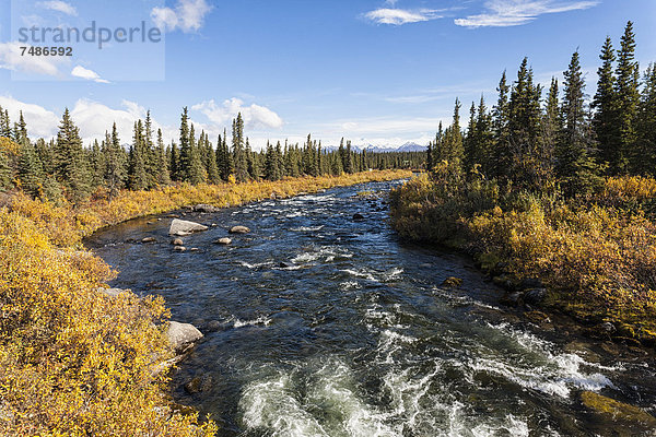 USA  Alaska  Blick auf Bach und Landschaft im Herbst