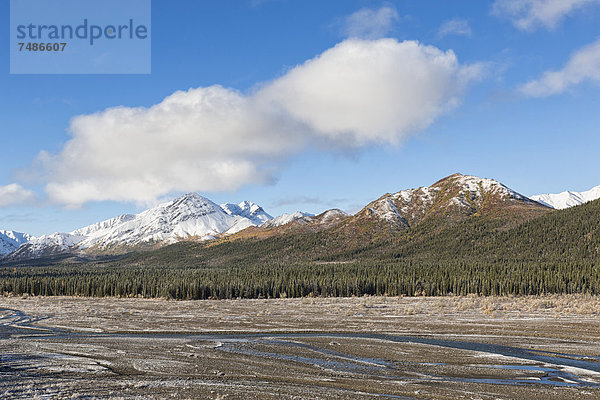 USA  Alaska  Blick auf den Denali Nationalpark