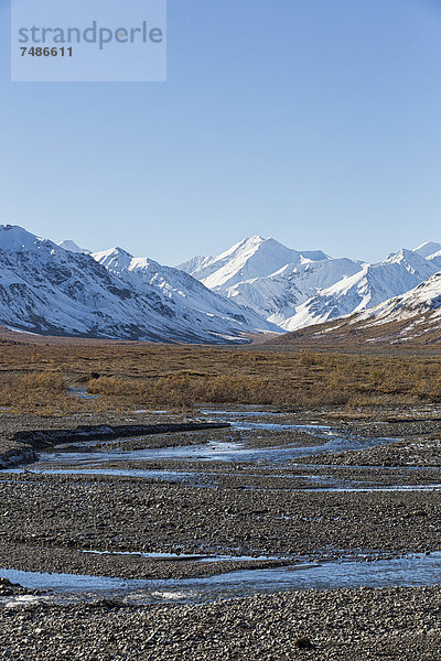 USA  Alaska  Blick auf den Toklat River im Denali Nationalpark