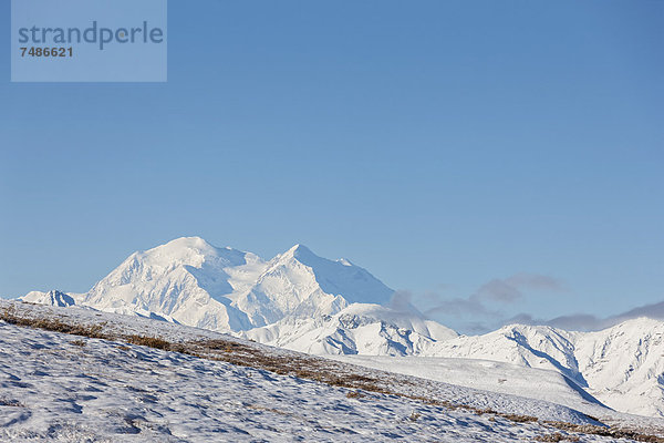 USA  Alaska  Blick auf den Mount McKinley im Denali Nationalpark