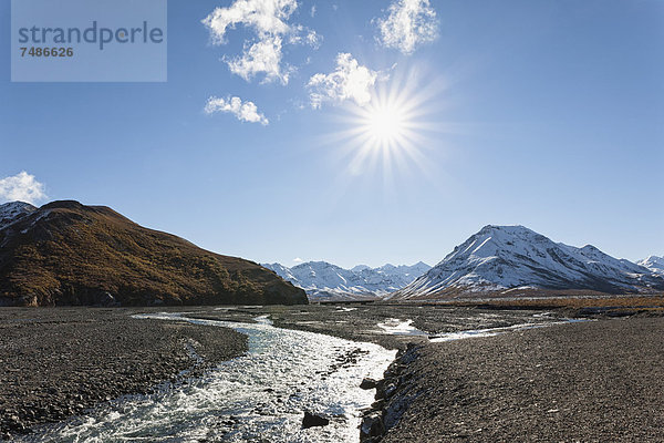 USA  Alaska  Blick auf den Toklat River im Denali Nationalpark