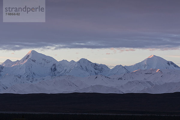 USA  Alaska  Sonnenaufgang über Alaska Range im Denali Nationalpark