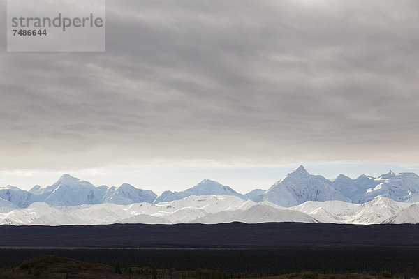 USA  Alaska  Blick auf die Alaska Range im Denali Nationalpark