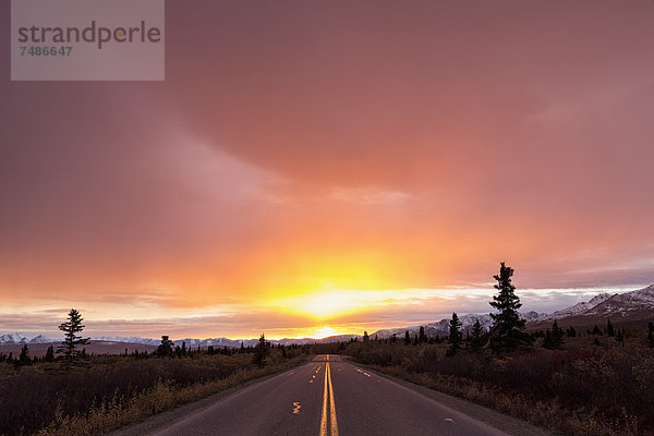 USA  Alaska  Denali Park Road bei Sonnenuntergang