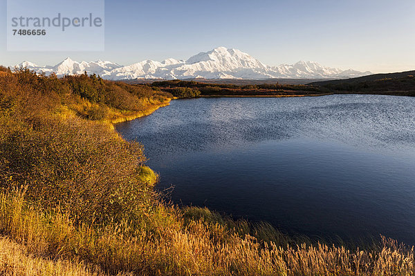 USA  Alaska  Blick auf Mount Mckinley und Spiegelung des Teiches im Denali Nationalpark