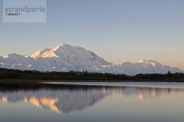 USA  Alaska  Blick auf Mount Mckinley und Spiegelung des Teiches im Denali Nationalpark