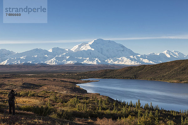 USA  Alaska  reifer Mann beim Fotografieren des Mount Mckinley im Denali Nationalpark