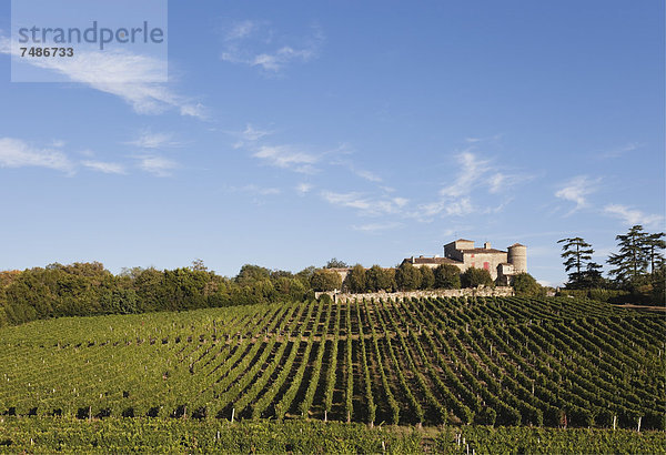 Frankreich  Bordeaux  Weinberge und Chateau Lacaussade