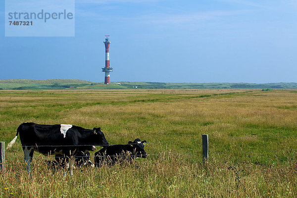 Deutschland  Niedersachsen  Blick auf den Leuchtturm