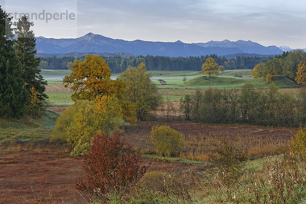 Deutschland  Bayern  Blick auf die Landschaft im Herbst