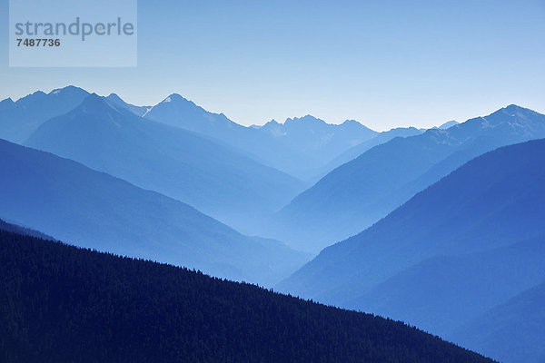 USA  Washington  Blick auf Hurricane Ridge und Olympic National Park