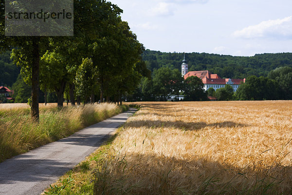 Deutschland  Blick auf Weizenfeld und Kloster Schaeftlarn im Hintergrund