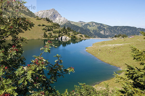 Österreich  Blick auf den Traualpsee