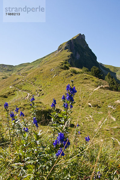 Österreich  Blick auf die Tannheimer Alpen