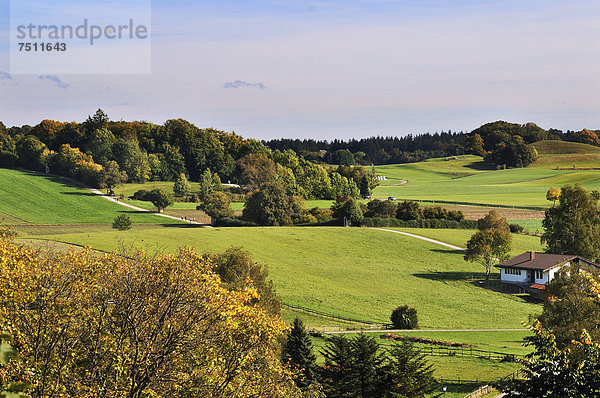 Blick auf Felder und Wald vom Kloster Andechs  Bayern  Deutschland  Europa