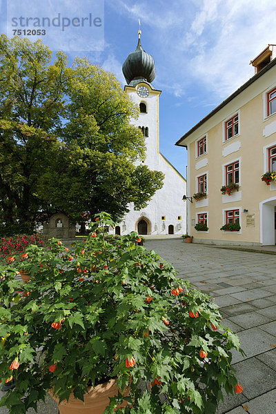 Pfarrkirche Mariä Himmelfahrt  Grassau  Chiemgau  Oberbayern  Bayern  Deutschland  Europa