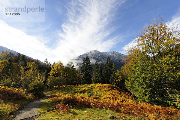 Wanderweg bei Bayrischzell mit dem Seeberg  Oberbayern  Bayern  Deutschland  Europa