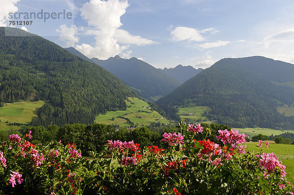 Blick über das Ridnauntal auf den Jaufenpass  Südtirol  Alto Adige  Italien  Europa