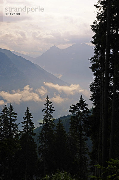 Pflerschtal  6 Almenweg  Dolomieuweg  am Rosskopf bei Sterzing  Südtirol  Alto Adige  Italien  Europa