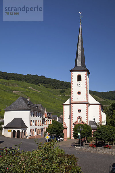 Pfarrkirche umgeben von Weinbergen  Piesport  Rheinland-Pfalz  Deutschland  Europa  ÖffentlicherGrund