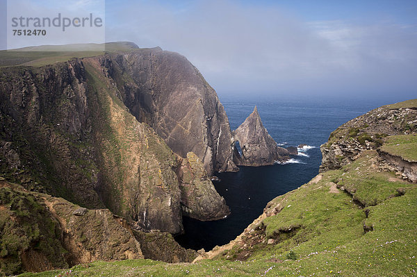 Felsküste  Fair Isle  Shetlands  Schottland  Großbritannien  Europa