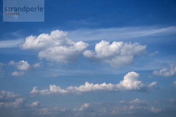 Cumuluswolken in Reihen am blauen Himmel