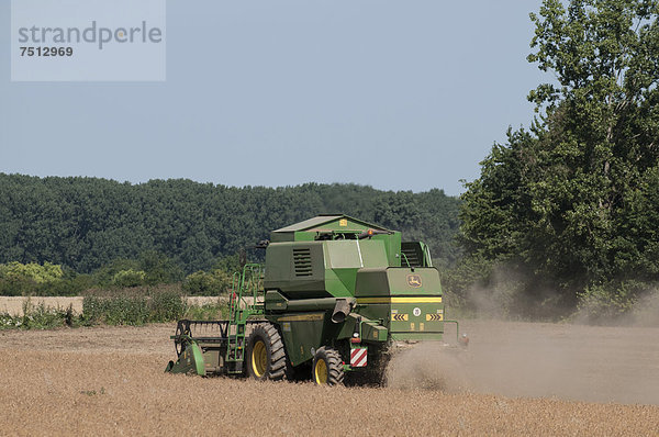 Mähdrescher im Weizenfeld  Getreideernte  Staubentwicklung  Bonn  Nordrhein-Westfalen  Deutschland  Europa  ÖffentlicherGrund