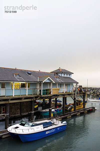 Hafen von Ventnor  Isle of Wight  England  Großbritannien  Europa