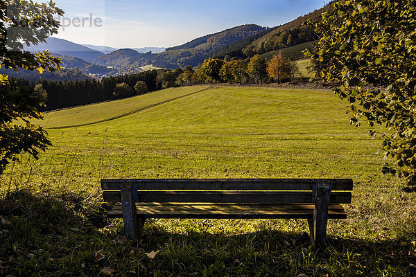 Wanderweg  Parkbank oberhalb des Ortes Oberkirchen  Sauerland  Nordrhein-Westfalen  Deutschland  Europa