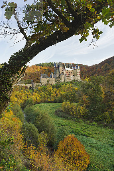Die Höhenburg Burg Eltz  Ganerbenburg  Münstermaifeld  Wierschem  Rheinland-Pfalz  Deutschland  Europa