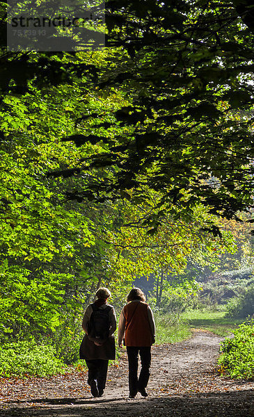 Zwei Frauen machen einen Waldspaziergang bei sonnigem Herbstwetter  Berlin  Deutschland  Europa