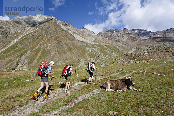 Wanderer beim Aufstieg zur Similaunhütte im Schnalstal durch das Tisental  hinten der Große Kahndl  Südtirol  Italien  Europa