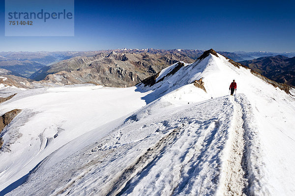 Bergsteiger beim Aufstieg zum Monte Cevedale  hinten die Zufallspitze  Südtirol  Italien  Europa