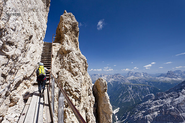 Bergsteiger beim Aufstieg über den Klettersteig  Via ferrata Ivano Dibona am Monte Cristallo zum Gipfel des Cristallino oberhalb von Cortina  Belluno  Dolomiten  Italien  Europa