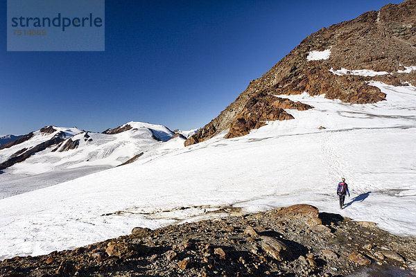 Bergsteiger auf dem Gipfelgrat beim Aufstieg zur Zufallspitz  hinten der Monte Vioz  Südtirol  Italien  Europa