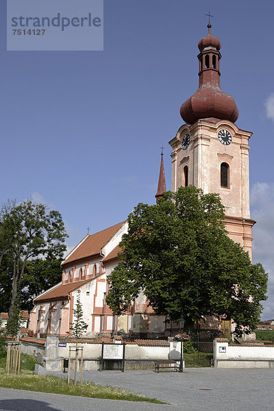 Die gotische St. Jakobuskirche am Pschesanitzer Platz  Nepomuk  Böhmen  Tschechien  Europa
