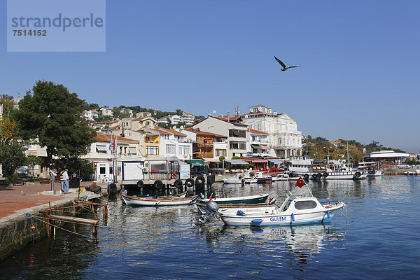 Hafen Insel angeln Asien Istanbul Türkei