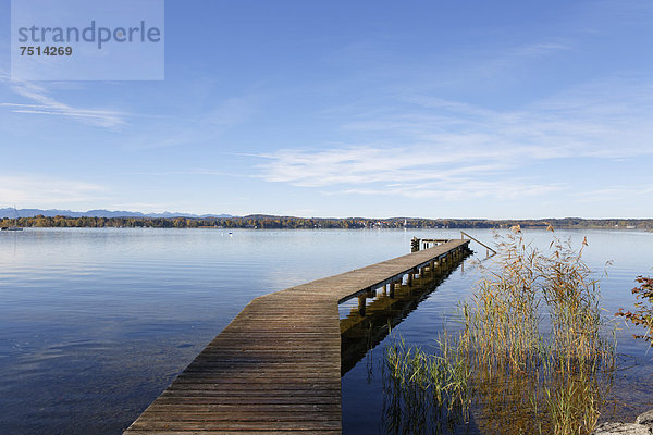 Starnberger See bei Sankt Heinrich  Gemeinde Münsing  Fünfseenland  Oberbayern  Bayern  Deutschland  Europa
