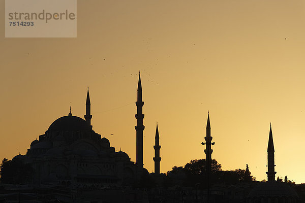 Süleymaniye-Moschee  Suleiman Moschee  Istanbul  Türkei  Europa