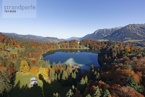 Freibergsee  Blick von Heini-Klopfer-Skiflugschanze  Gemeinde Oberstdorf  Oberallgäu  Allgäu  Schwaben  Bayern  Deutschland  Europa