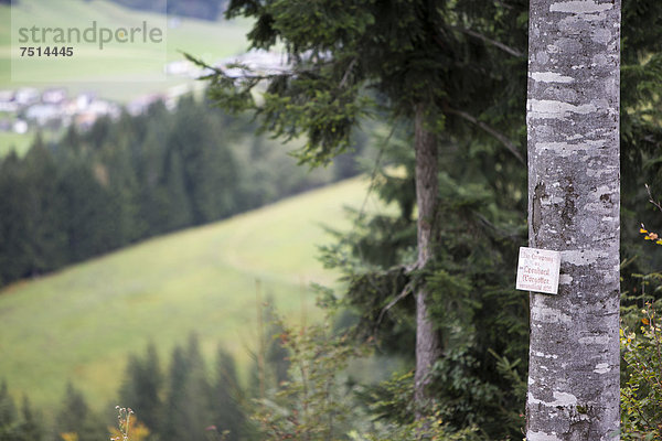 Gedenktafel an einem Baum bei Fieberbrunn  Tirol  Österreich  Europa