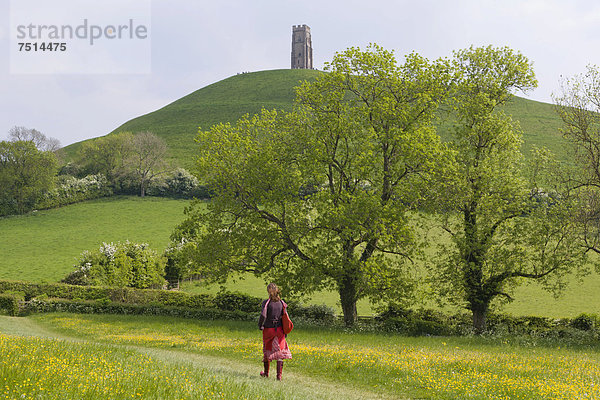 Glastonbury-Hügel mit dem St. Michaels-Turm  Somerset  England  Großbritannien  Europa