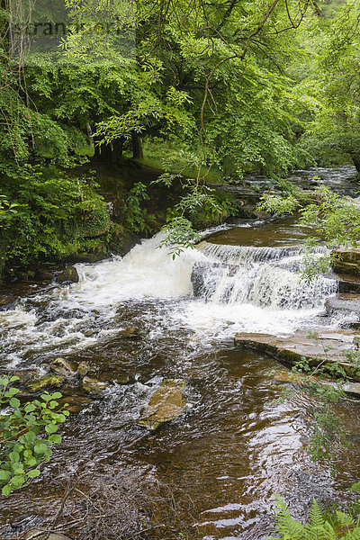 Wasserfall am Fluss Taf Fechan  Brecon-Beacons-Nationalpark  Powys  Wales  Großbritannien  Europa