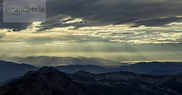 Abendliche Wolkenstimmung auf dem Hochgrat mit Blick auf den Bodensee  Oberstaufen  Bayern  Deutschland  Europa