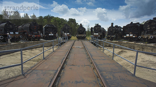 8 Lokomotiven und eine Schneeschleuder vor der Drehscheibe  Eisenbahnmuseum «amlik  Türkei  Asien