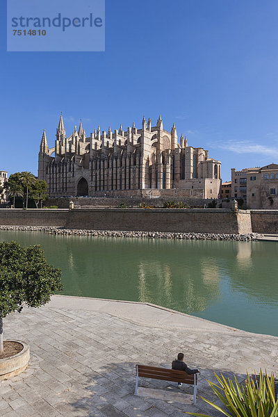 Die Kathedrale La Seu  Altstadt  Palma de Mallorca  Mallorca  Balearen  Spanien  Europa