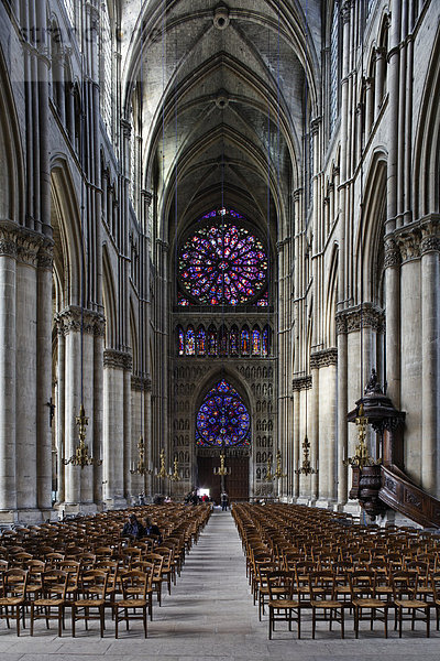 Kathedrale Notre Dame Reims  Hauptschiff  Via Francigena  Frankenstraße  Departement Marne  Region Champagne-Ardennen  Frankreich  Europa