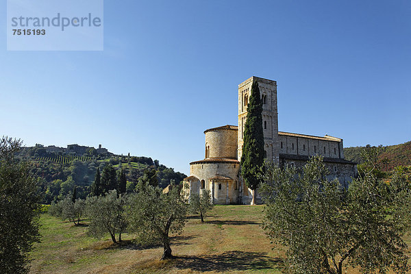 Abtei SantíAntimo  Castelnuovo del Abate  Montalcino  Region Toskana  Provinz Siena  Italien  Europa