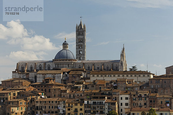Europa über Stadt Geschichte Kathedrale Ansicht Italien Siena Provinz Siena