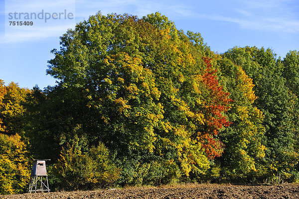 Jägerstand an einem herbstlichen Waldrand  Algersdorf  Fränkische Schweiz  Mittelfranken  Bayern  Deutschland  Europa  ÖffentlicherGrund